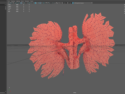 Origami human kidney unfolding growing animation 3D-Modell