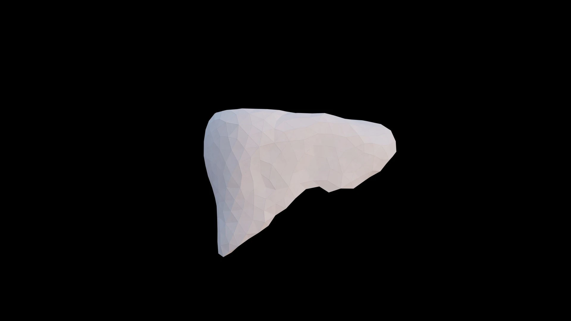 Origami human liver unfolding growing animation 3D Model .c4d .max .obj .3ds .fbx .stl .blend 