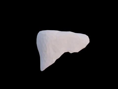 Origami human liver unfolding growing animation 3D Model