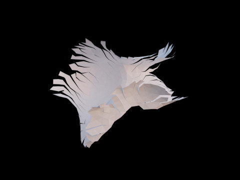 Origami human liver unfolding growing animation Model 3D