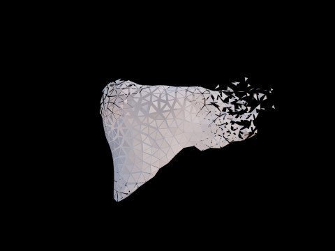 Origami human liver unfolding growing animation Model 3D