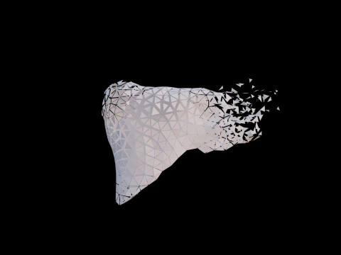Origami human liver unfolding growing animation 3D Model