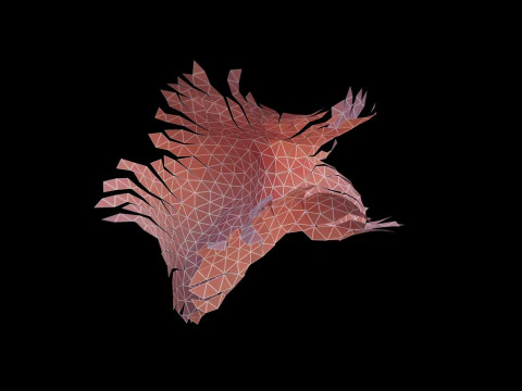 Origami human liver unfolding growing animation 3D Model