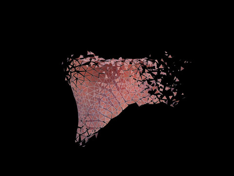 Origami human liver unfolding growing animation Model 3D