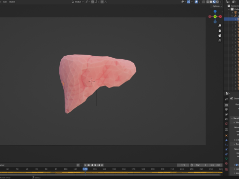 Origami human liver unfolding growing animation Model 3D