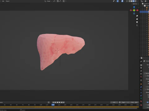 Origami human liver unfolding growing animation 3D Model