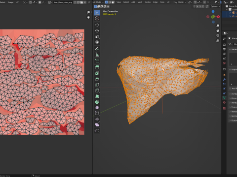 Origami human liver unfolding growing animation Model 3D