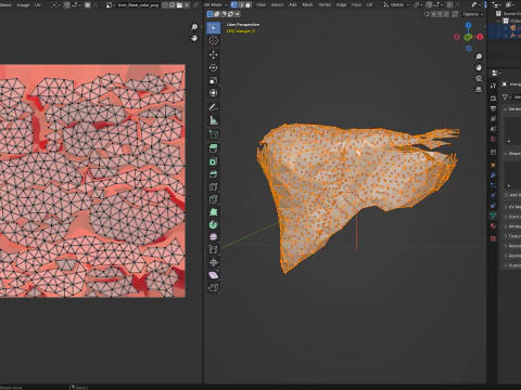Origami human liver unfolding growing animation 3D Model