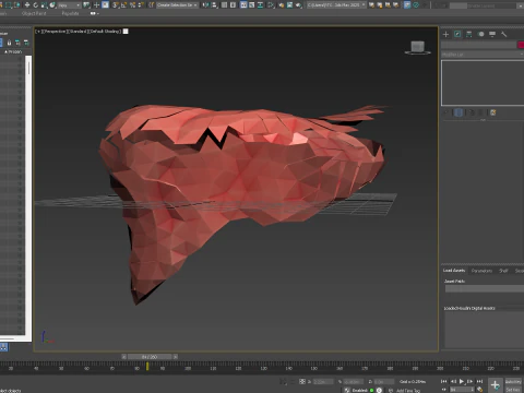 Origami human liver unfolding growing animation 3D Model