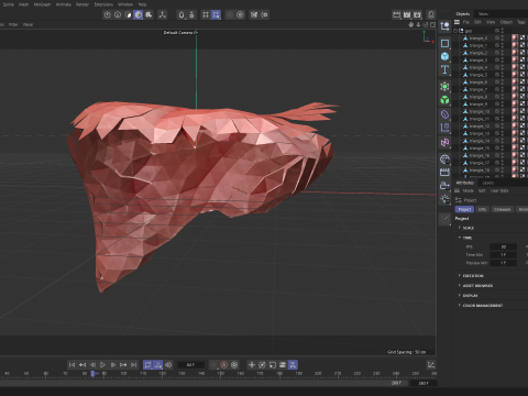 Origami human liver unfolding growing animation Model 3D
