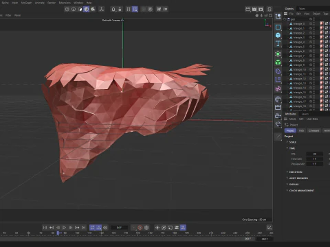 Origami human liver unfolding growing animation 3D Model