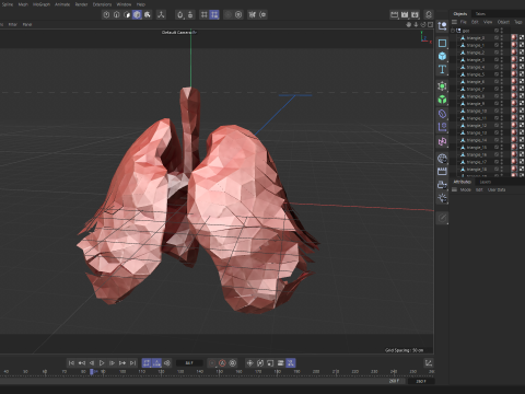 Origami human lungs unfolding growing animation 3D Model