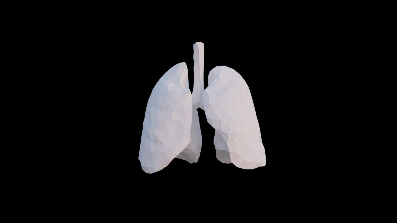 Origami human lungs unfolding growing animation 3D Model .c4d .max .obj .3ds .fbx .stl .blend