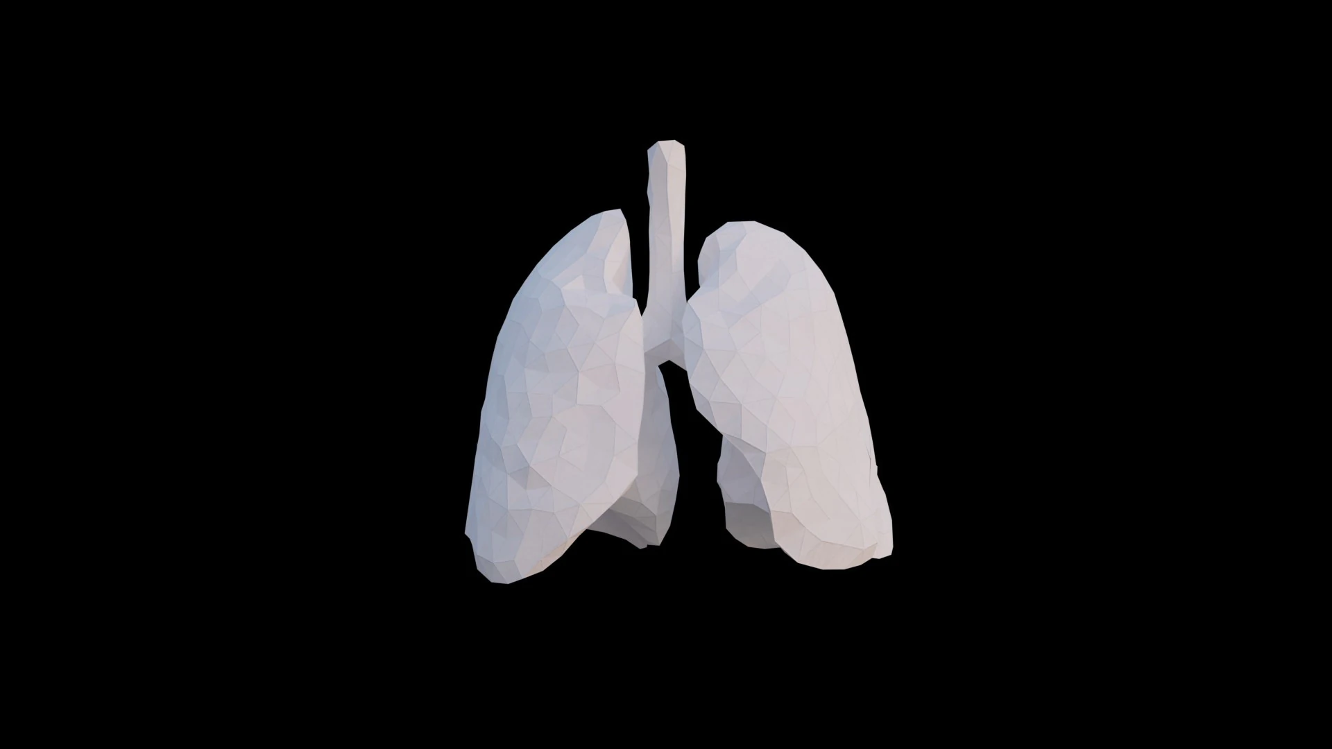 Origami human lungs unfolding growing animation 3D Model .c4d .max .obj .3ds .fbx .stl .blend