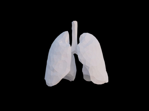 Origami human lungs unfolding growing animation 3D Model