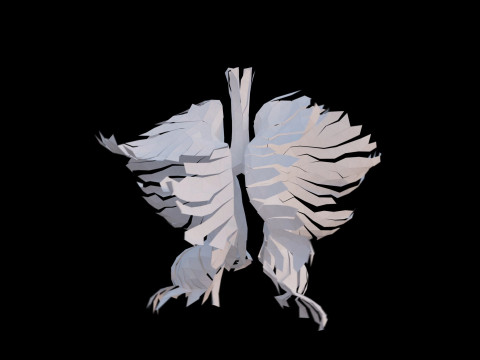 Origami human lungs unfolding growing animation 3D Model