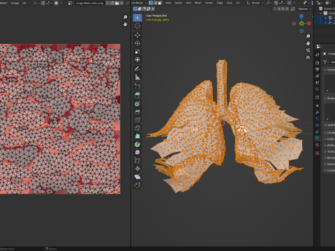 Origami human lungs unfolding growing animation 3D Model