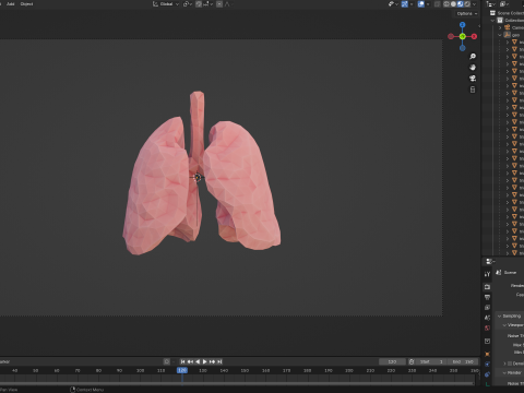 Origami human lungs unfolding growing animation 3D Model