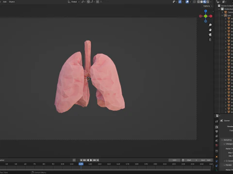 Origami human lungs unfolding growing animation 3D Model