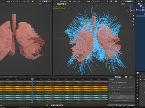 Origami human lungs unfolding growing animation 3D Model