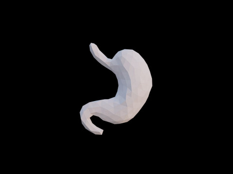 Origami human stomach unfolding growing animation 3Dモデル