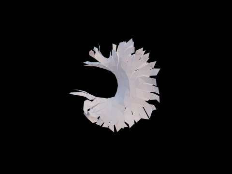 Origami human stomach unfolding growing animation 3D Model