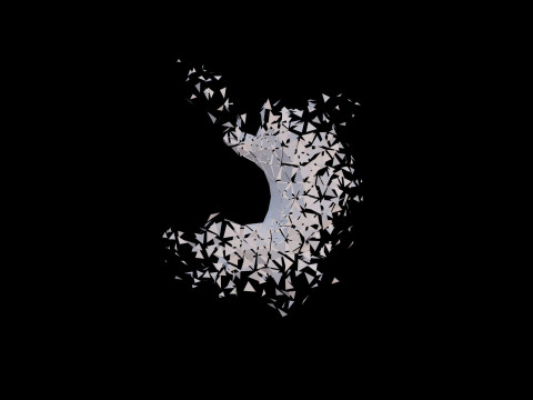 Origami human stomach unfolding growing animation 3D Model