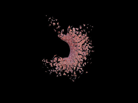 Origami human stomach unfolding growing animation 3D Model