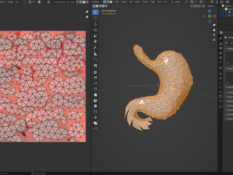 Origami human stomach unfolding growing animation 3D Model