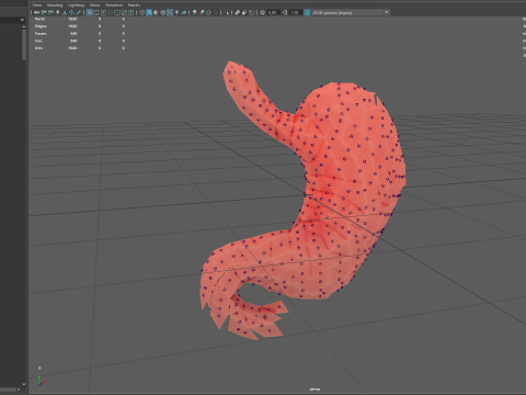 Origami human stomach unfolding growing animation 3D Model