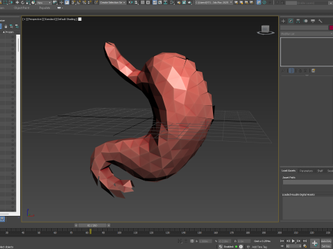 Origami human stomach unfolding growing animation 3D Model