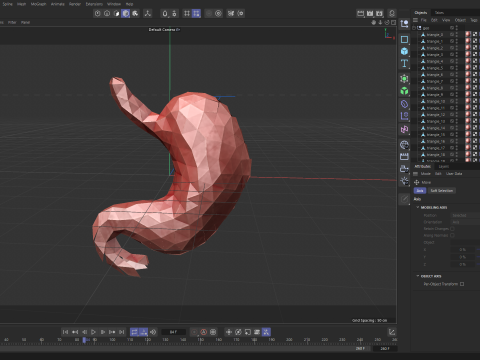 Origami human stomach unfolding growing animation 3D Model