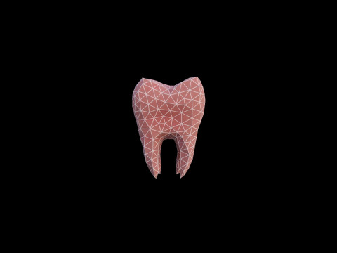 Origami human tooth unfolding growing animation 3D 모델