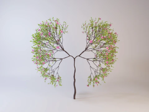 Growing Tree shaped as human lungs animation 3D Model