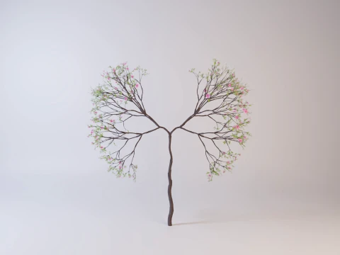 Growing Tree shaped as human lungs animation 3D Model