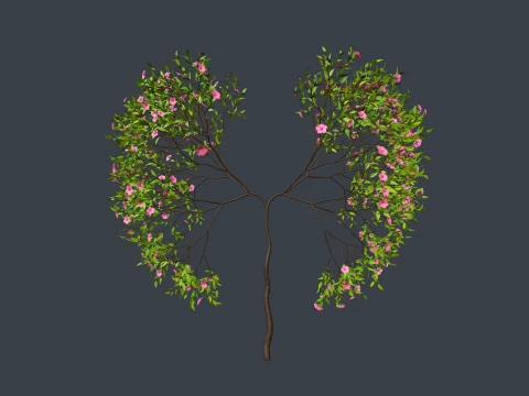Growing Tree shaped as human lungs animation 3D Model