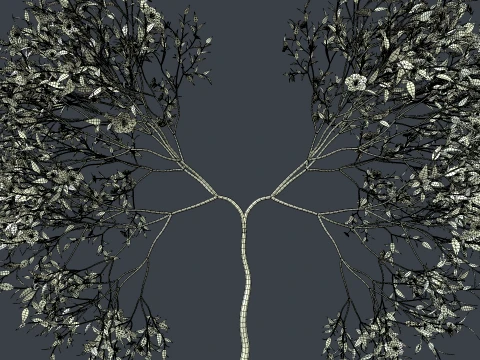 Growing Tree shaped as human lungs animation 3D Model