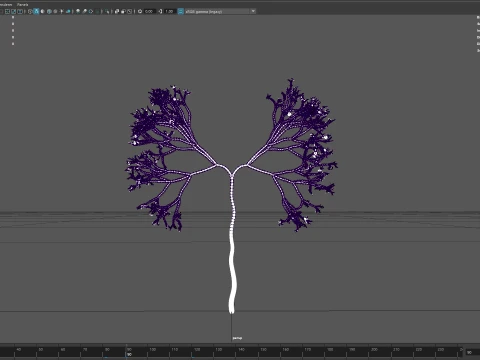 Growing Tree shaped as human lungs animation 3D Model