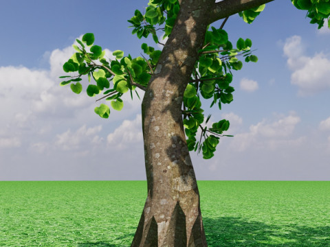 Tree1 3Dモデル
