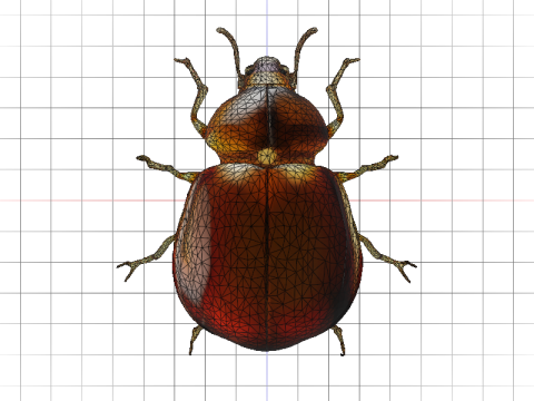 Amber Beetle Majesty 3Dモデル