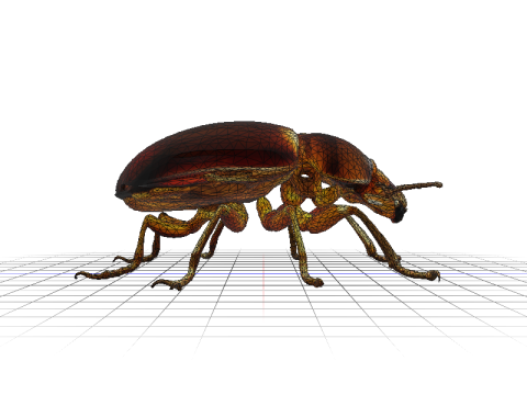 Amber Beetle Majesty 3Dモデル
