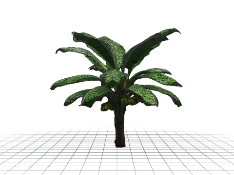 Lush Banana Tree 3D Model