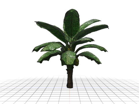 Lush Banana Tree 3D Model