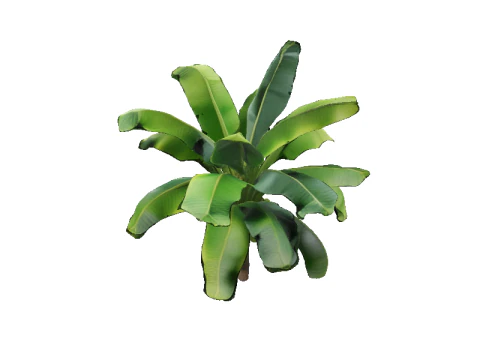 हरे-भरे केले का पेड़ 3D मॉडल