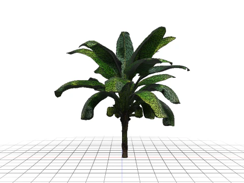 Lush Banana Tree 3D Model