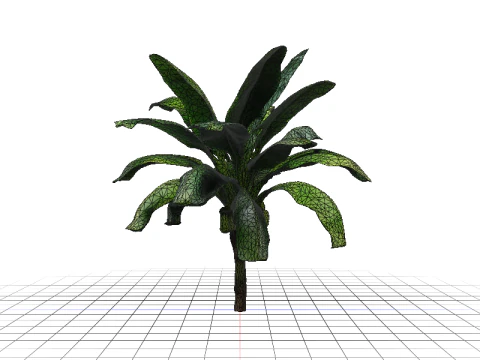 Lush Banana Tree 3D Model