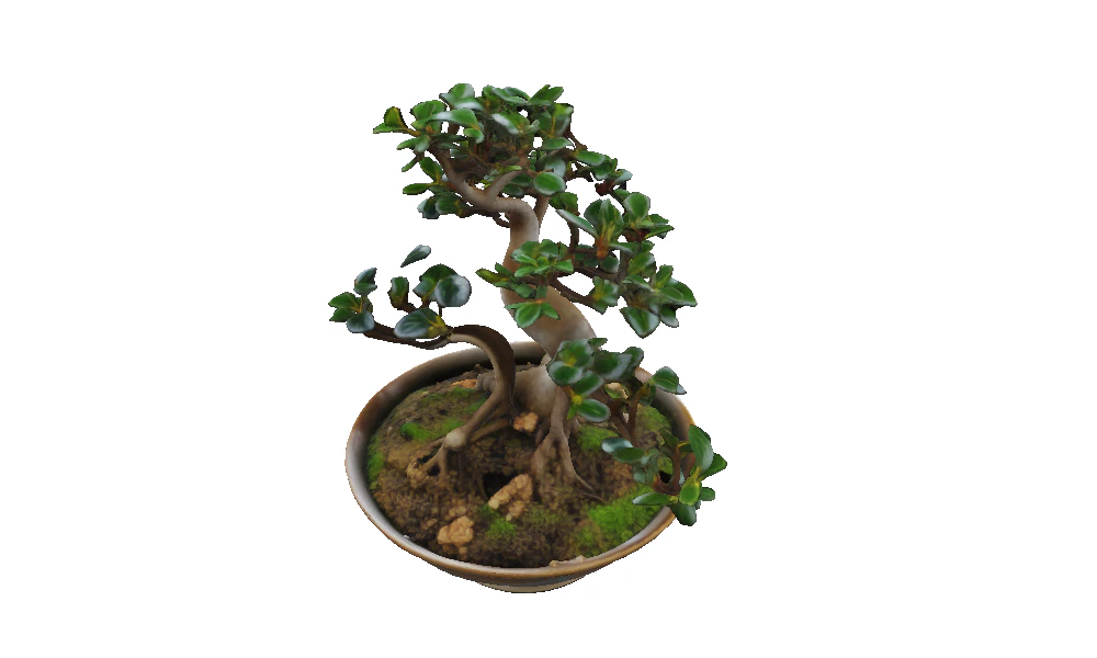 GLAZED BOWL Bonsai 3D Model .c4d .max .obj .3ds .fbx .stl .blend