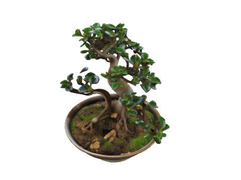 GLAZED BOWL Bonsai 3Dモデル