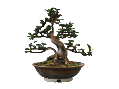 GLAZED BOWL Bonsai 3D Модель