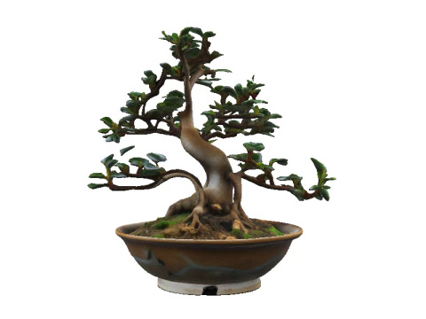 GLAZED BOWL Bonsai 3D Model